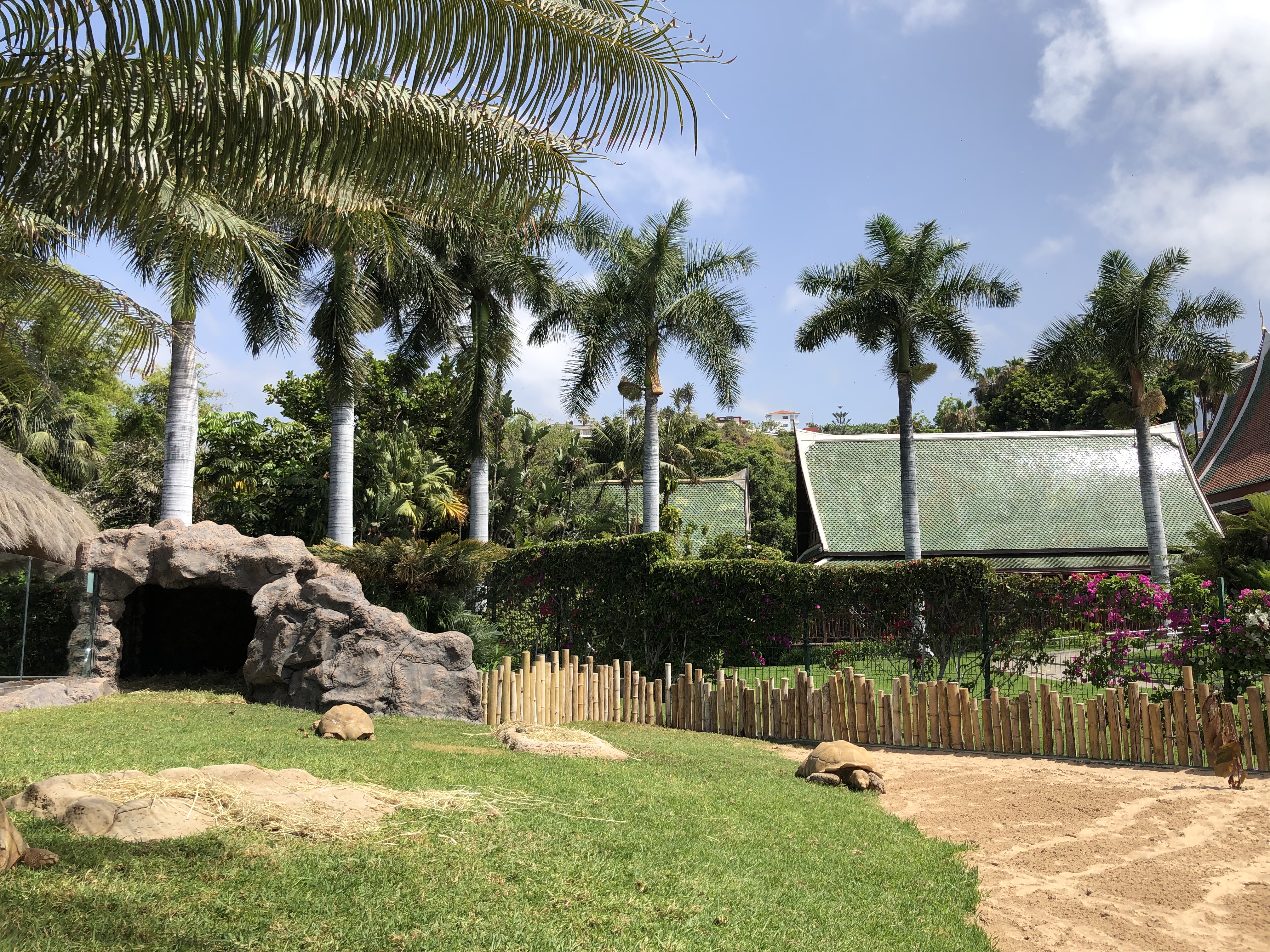 Amplia instalación para las Tortugas de Espolones Africanas