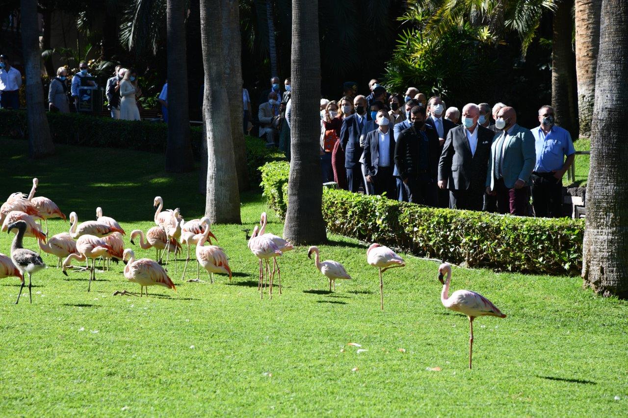 Flamencos en Loro Parque