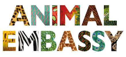 texto presentación animal embassy