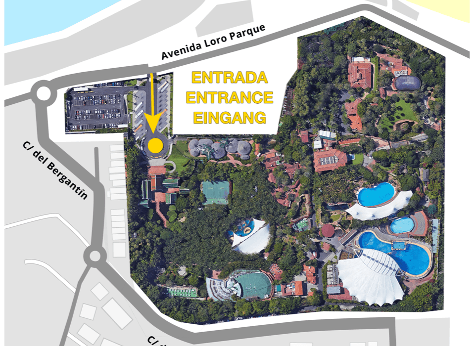 Imagen mapa entrada de Loro Parque