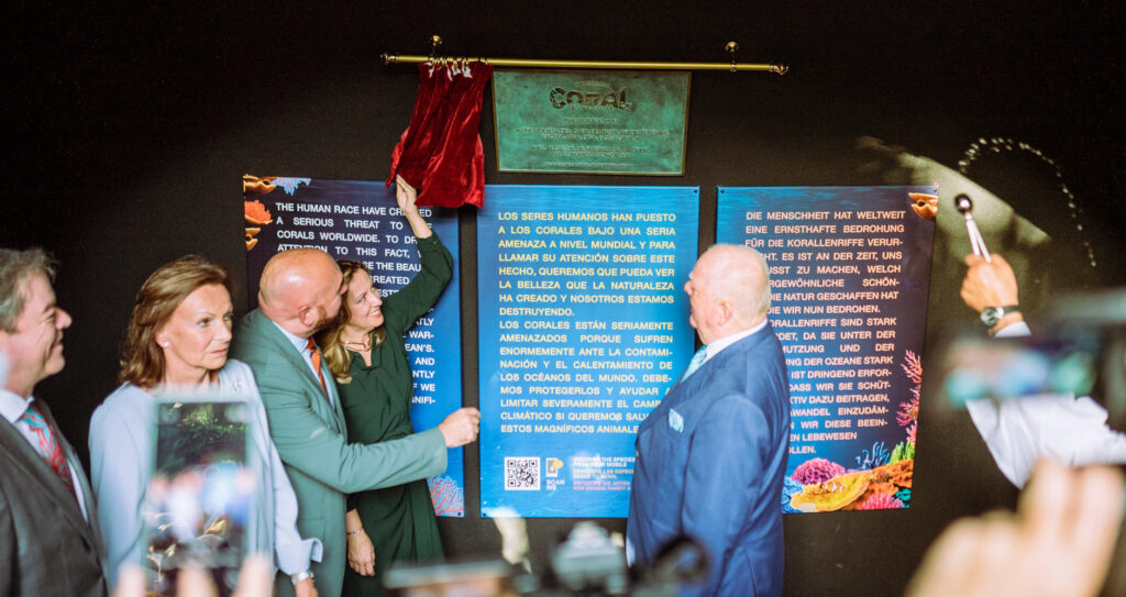 Coral-Kingdom-Präsentation