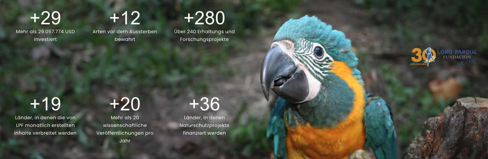 Loro Parque Fundación