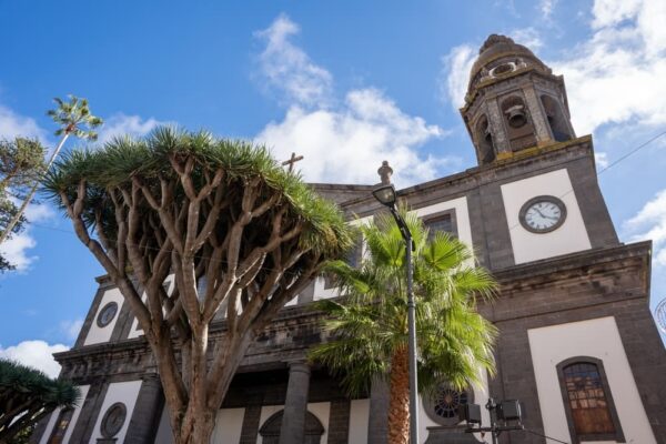 Catedral La Laguna